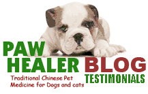 Pawhealer Blog